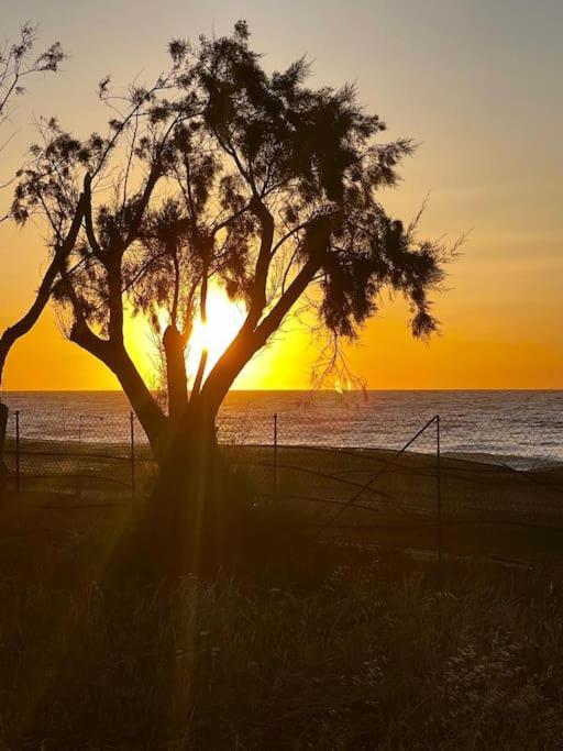 Lambou Sunset